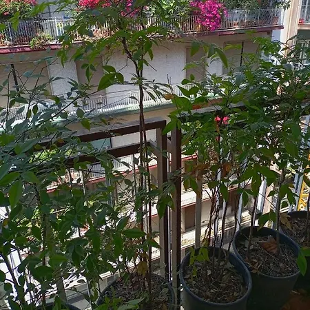 Appartamento Gianna House *