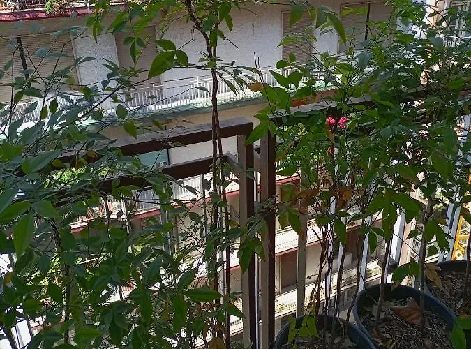 Apartment Gianna House *